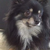 Cyndall Carlin's photo