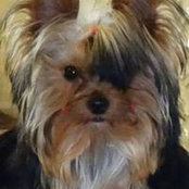 Karine Ernould's photo