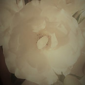 Foto von jmcswain1412