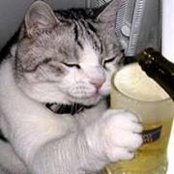Irina Belova's photo