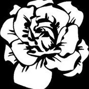 Ryan MacCarrigan's photo