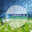Commercial Lawn Irrigation