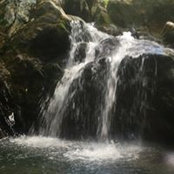 Felecia Rivera's photo
