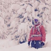 Alex Lowe's photo
