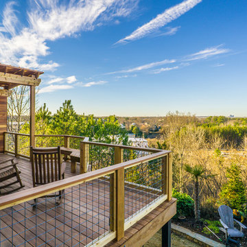 Dupont Commons Deck (Tigerwood, Wild Hog Railing)