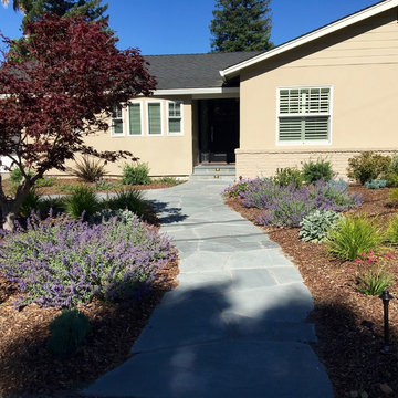 Los Altos No Lawn, Low Water