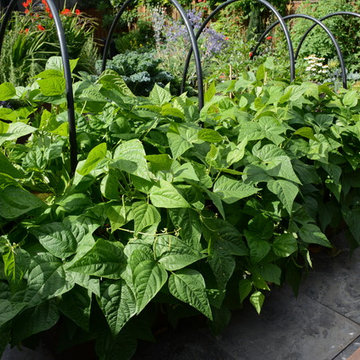 Raised Vegetable Bed / Ornamental Garden 2016