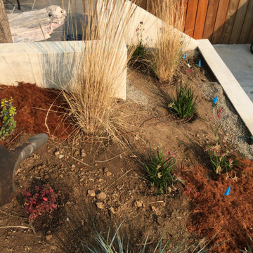 Midcentury Modern Eichler Home Makeover