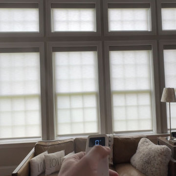 Motorized Roller Shades
