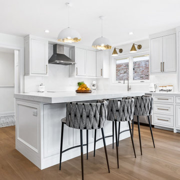 Skokie Single Family Home Remodel DESIGN BUILD