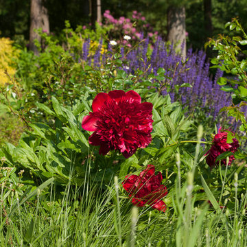 Terraced slope garden