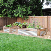 Small vege garden