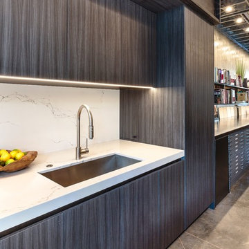Streamline Contemporary Kitchen