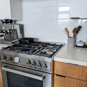 Visual Heart Canadian Loft Kitchen