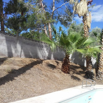 BACKYARD CLEANUP