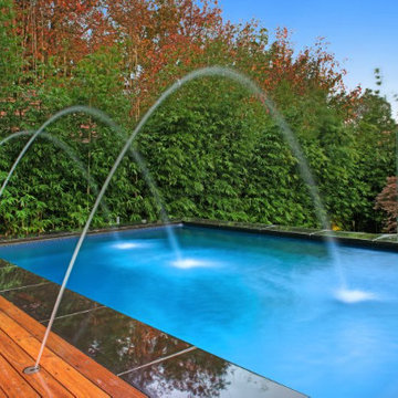 Pool with Bamboo Hedge