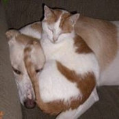 Tiffany Holtsizer's photo