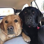 Tisha Goodman's photo