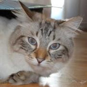 Henry Benjamin's photo