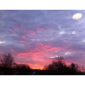 Jason Drissel's photo