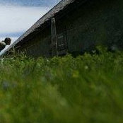Meghan Hagedorn's photo