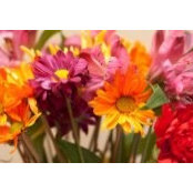 Teresa Levite's photo