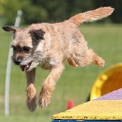 Sylvie Fefer's photo