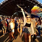 Bri Holm's photo