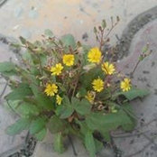 Kts Vĩnh's photo
