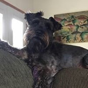 Karen Borio's photo