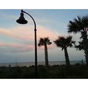 Amy Peleska's photo