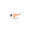Smartscape Design Inc