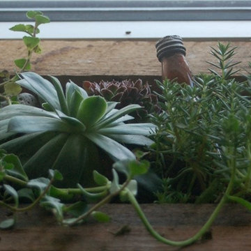 Artifact Coffee Planter Boxes