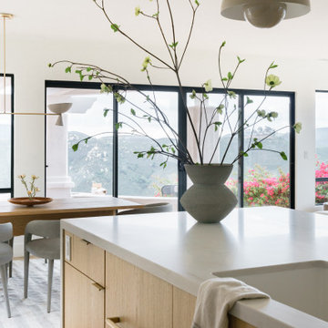 Lake Hodges Whole Home Remodel