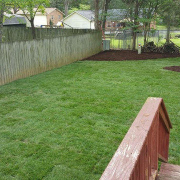Charlotte Sod Installation