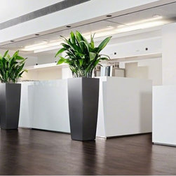 Cubico Alto LECHUZA - Indoor Pots And Planters