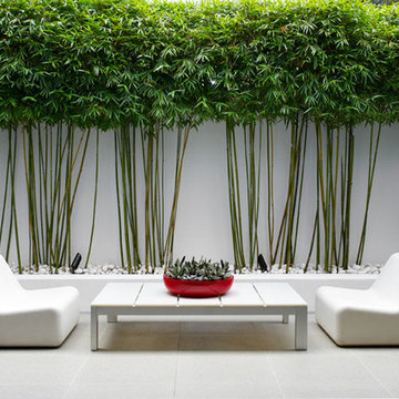 Sydney Beachside Garden