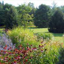 Landscape and garden