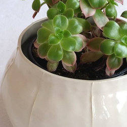 vases - Home Decor