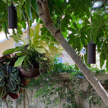 Shade Gardens