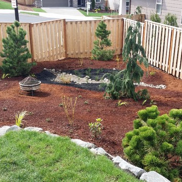 Camas Challenge/Rain Garden Just planted