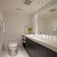 Wall mount bidet spray