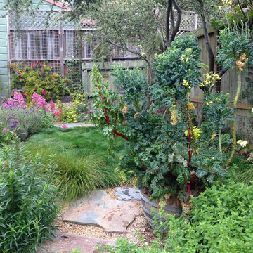 Bernal Heights Habitat and Edible Garden