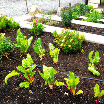 Extraordinary Greenery