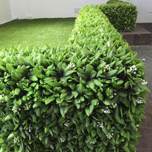 Hedges