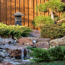 Rock Garden