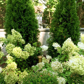 Green and White Garden