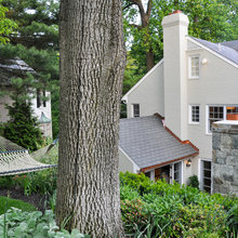 Landscape Ideas