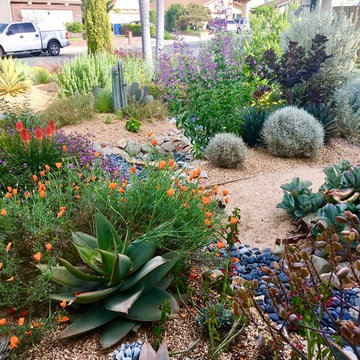 Soft Desert Gardens