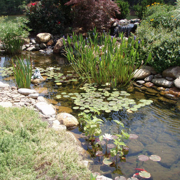 Water Features
